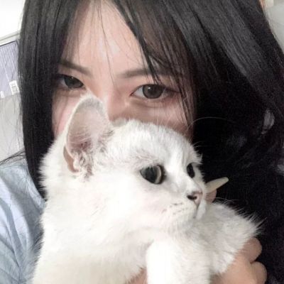 小米游戏光之契约下载