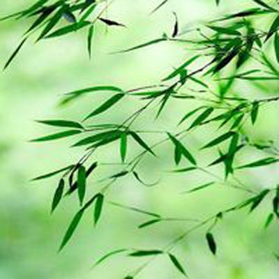 斗战武林官方版下载